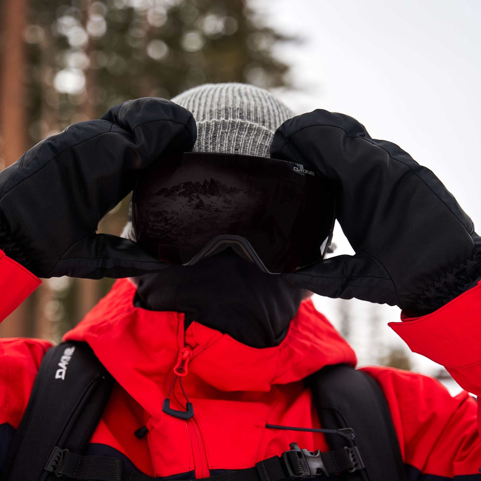 DOMAIN SNOW GOGGLE PLUS